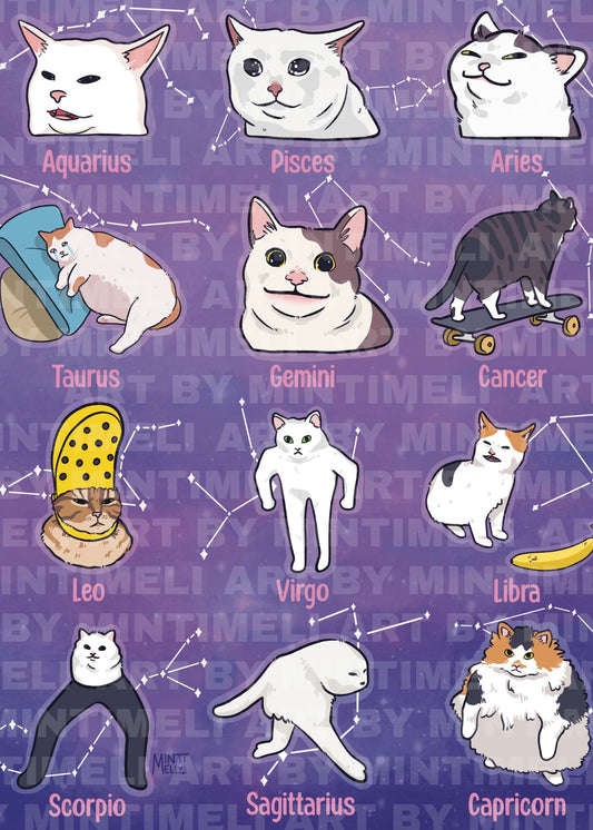 Astrology Meme Cat - Art Print - Large (11x14)