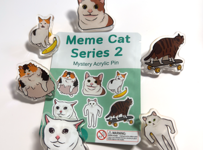 Meme Cat Blind Bag Series | Mystery Acrylic Pins