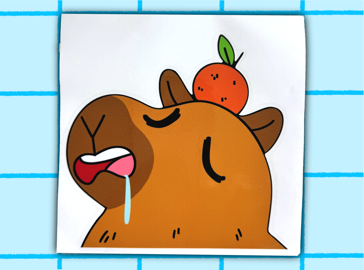Capybara Transfer Decal