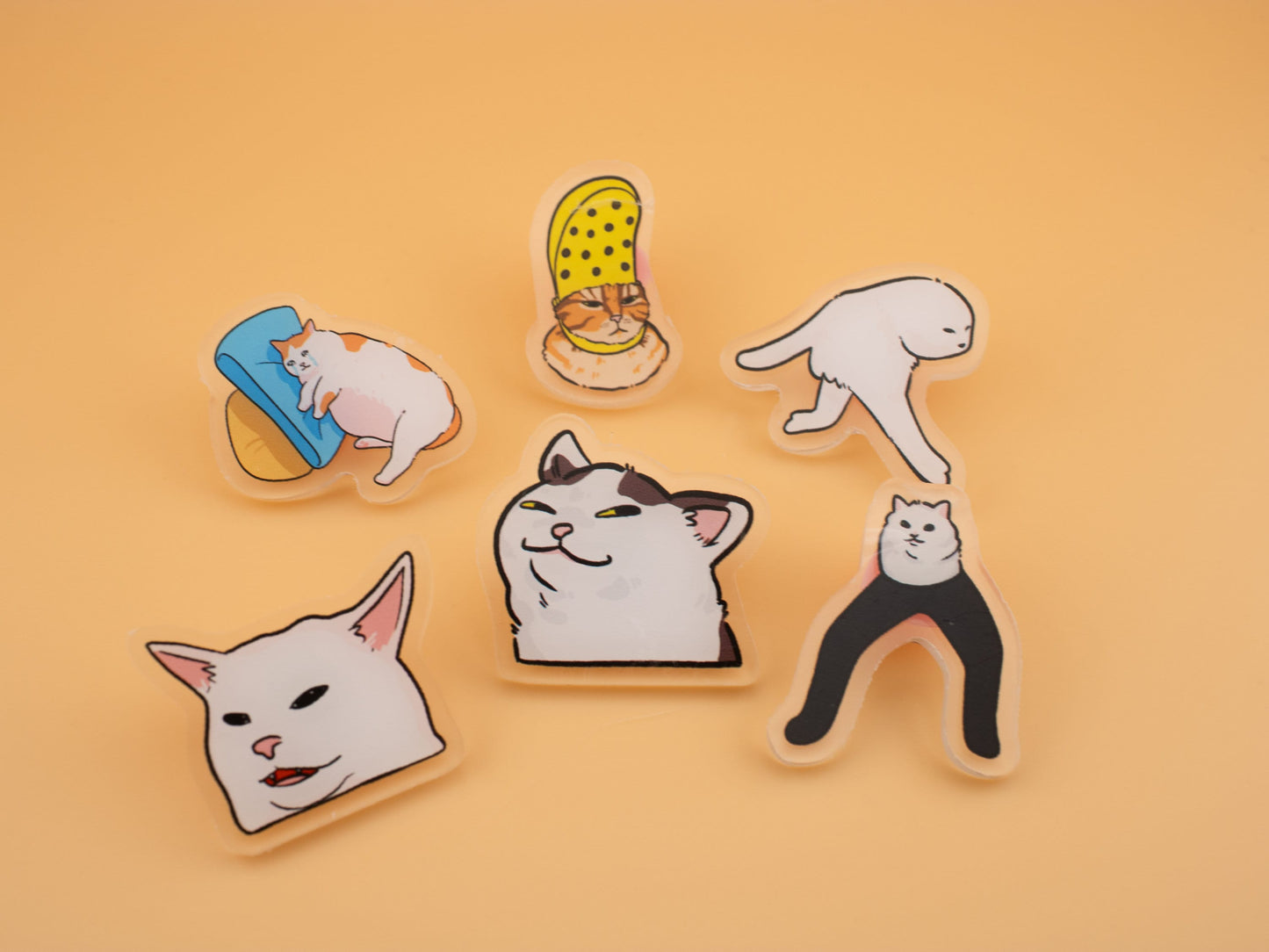 Cat Meme Pin Blind Bag (Series 1 & 2)