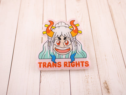 Trans Rights! - Acrylic Pin