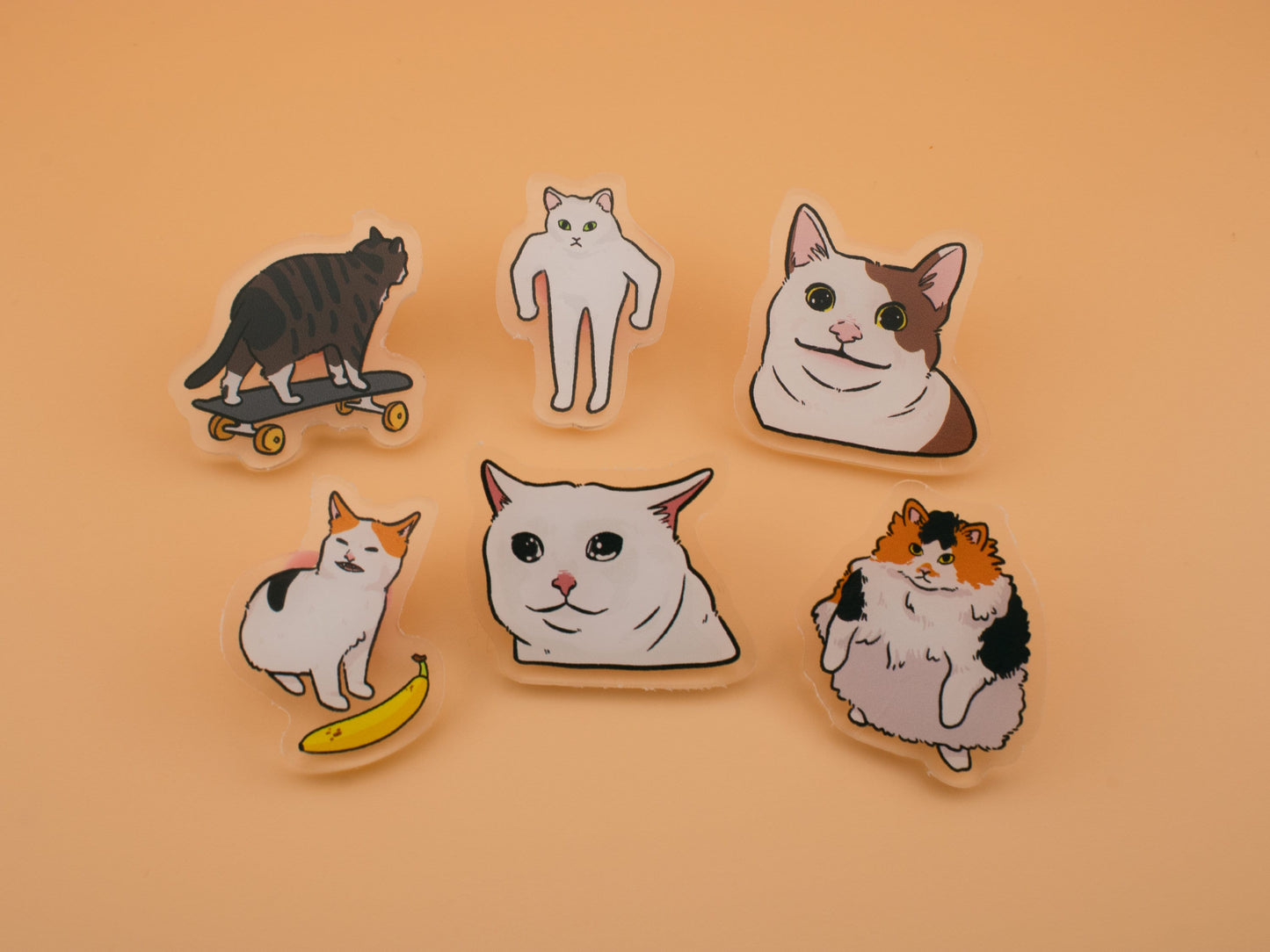 Cat Meme Pin Blind Bag (Series 1 & 2)